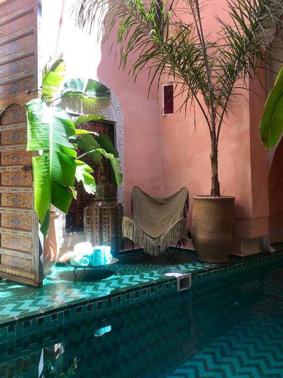 Kolam renang di atau dekat dengan The Bohemian Jungle