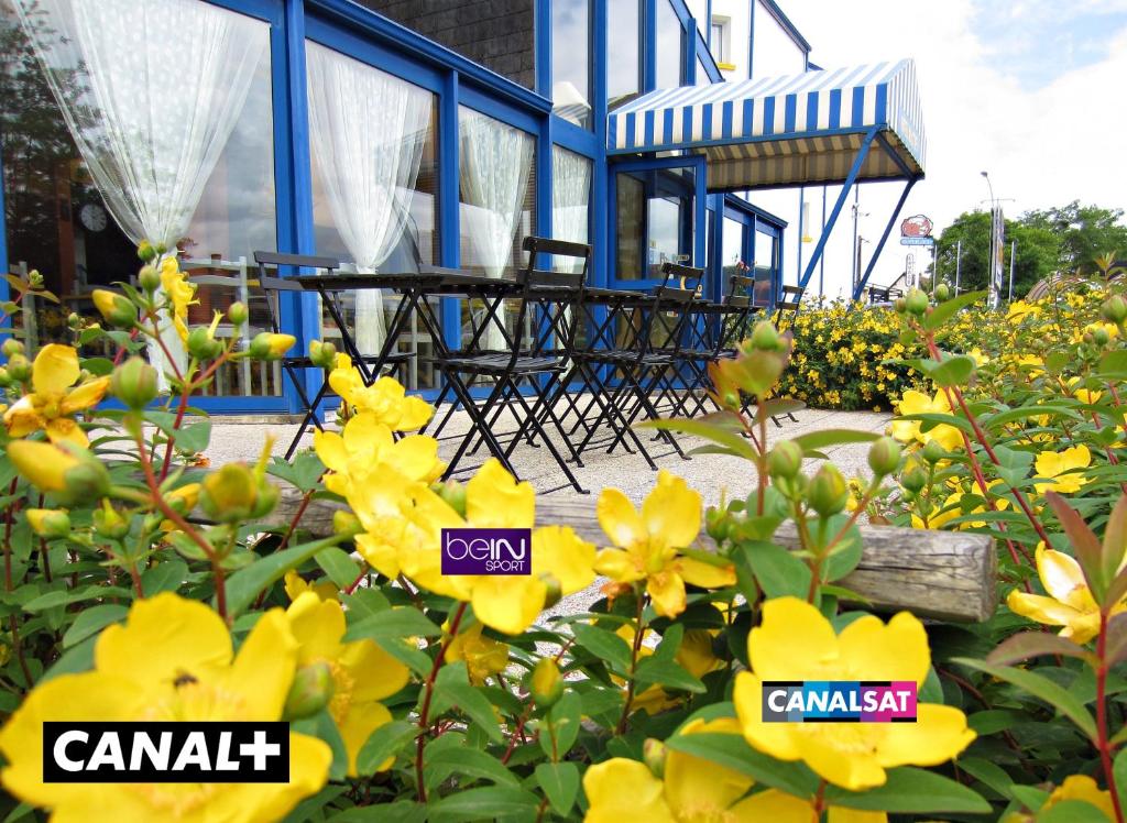 a garden with yellow flowers in front of a building at Hôtel Noctuel Blois Sud in Saint-Gervais-la-Forêt