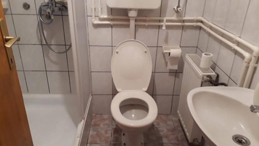 un piccolo bagno con servizi igienici e lavandino di Enjoy Zlatibor a Zlatibor