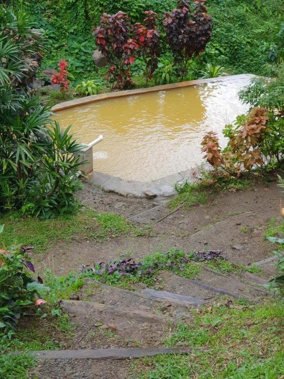 einen Pool mit Wasser in der Mitte eines Gartens in der Unterkunft Ti Kwen Glo Cho in Roseau