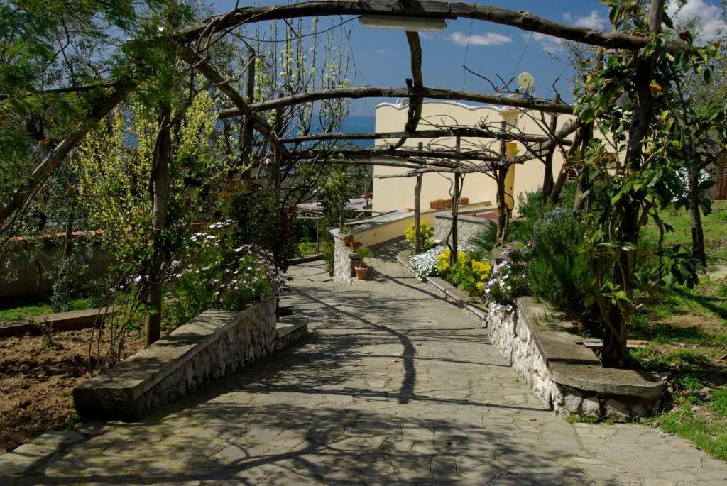 a walkway in a garden with trees and flowers at Villa Romantica in Massa Lubrense