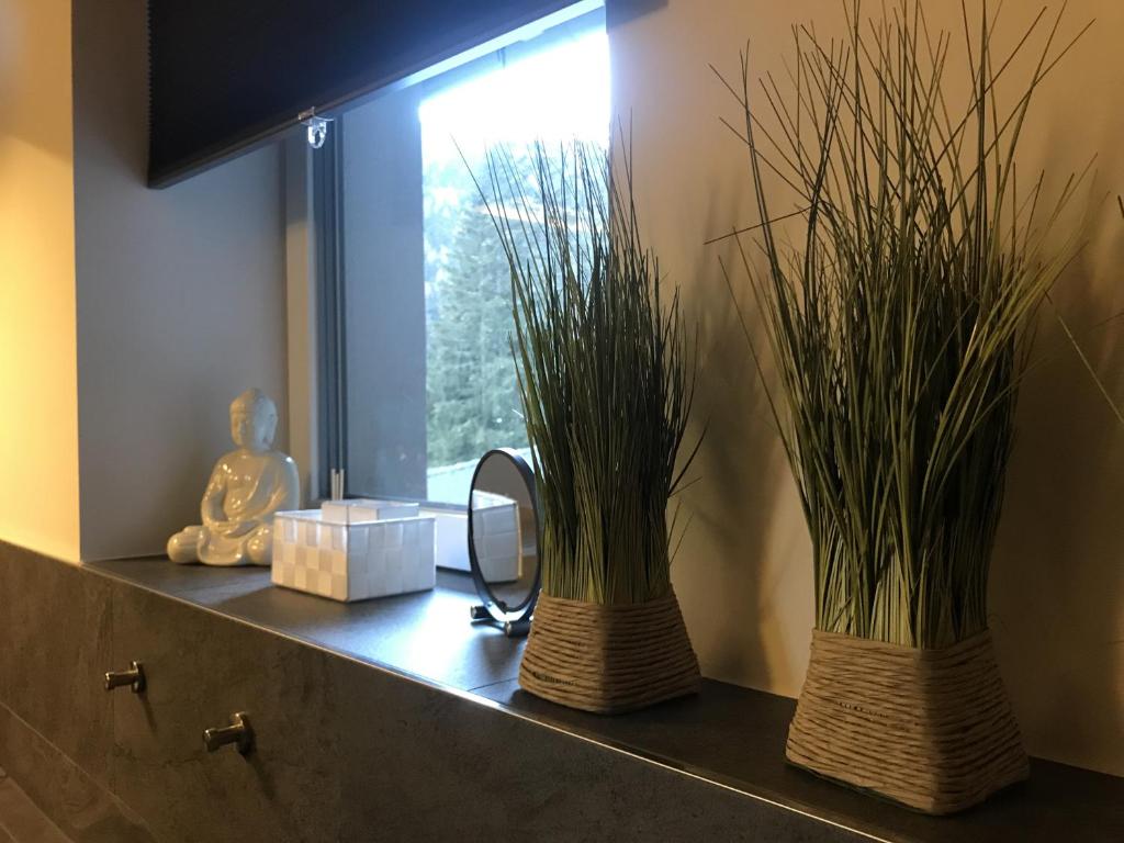 Fotografie z fotogalerie ubytování Penthouse Skyview im Natur-Erlebnispark Bad Kleinkirchheim v destinaci Patergassen