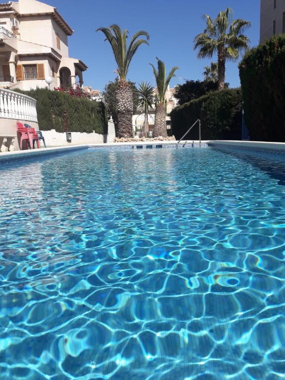 niebieski basen z palmami i budynek w obiekcie Residencia Alhambra Los Cisnes w mieście Torrevieja