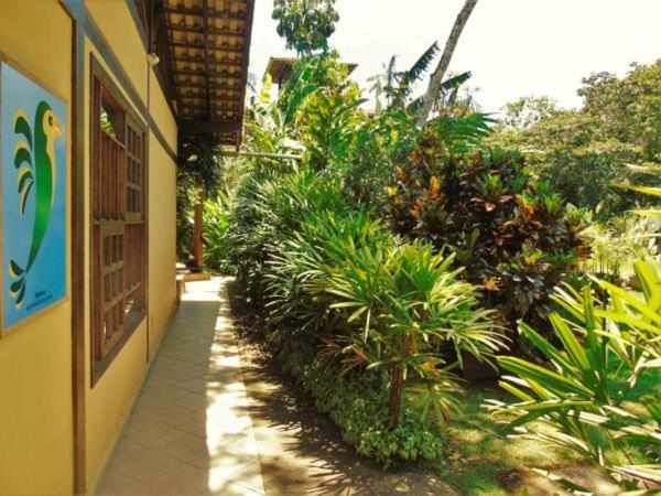  Quintal da Mata