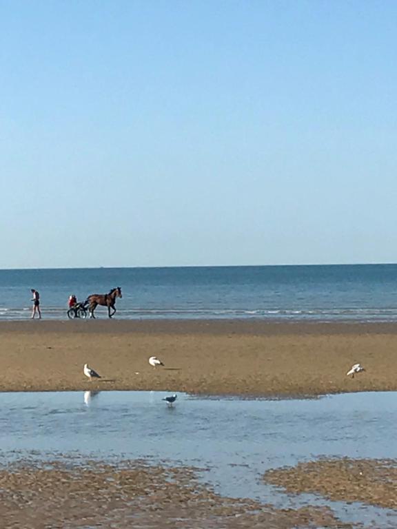 a person riding a horse on a beach with birds at Le petit coin de Paradis in Varaville