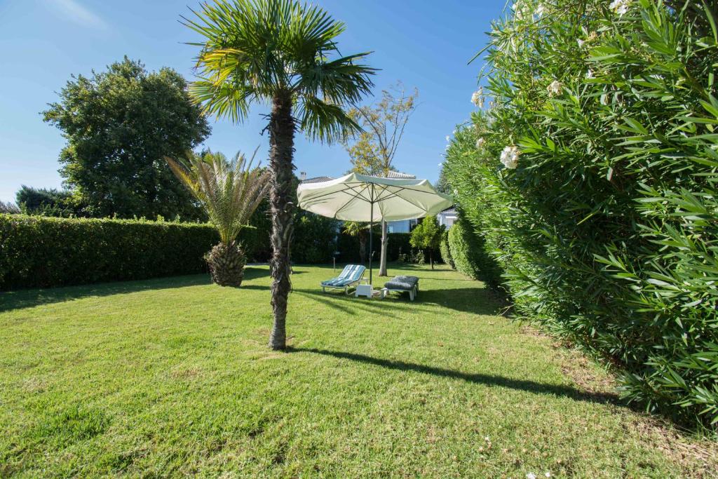 Fotografie z fotogalerie ubytování Romantic Seafront Studio - Dream Garden v destinaci Platanidia