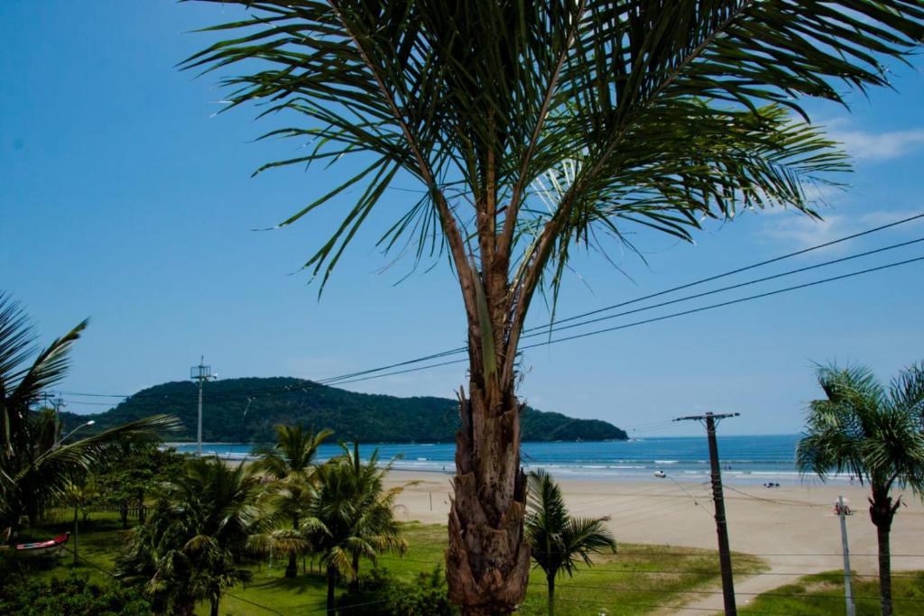 a palm tree in front of a beach at Pousada Nascimentos in Bertioga
