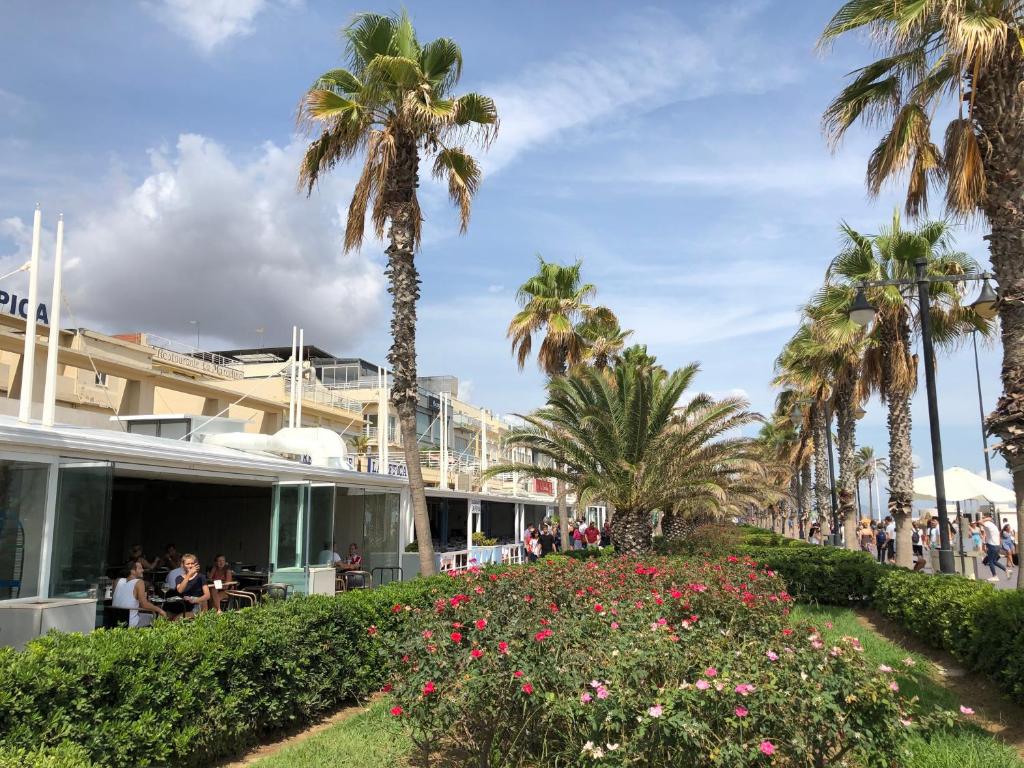 Valencia Gold Beach, Valencia – Updated 2023 Prices