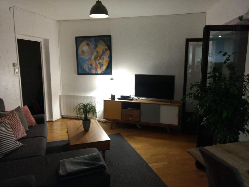 a living room with a couch and a flat screen tv at Appartement centre-ville proche lac et thermes in Thonon-les-Bains