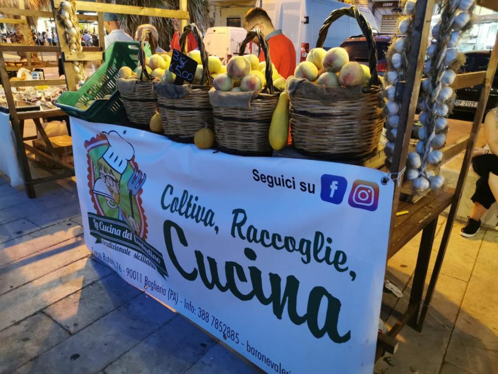 Certificato, attestato, insegna o altro documento esposto da Aspra al delfino blu