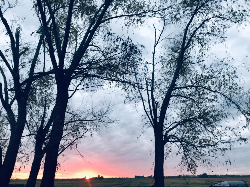a group of trees with a sunset in the background at La Soñada in Lobos