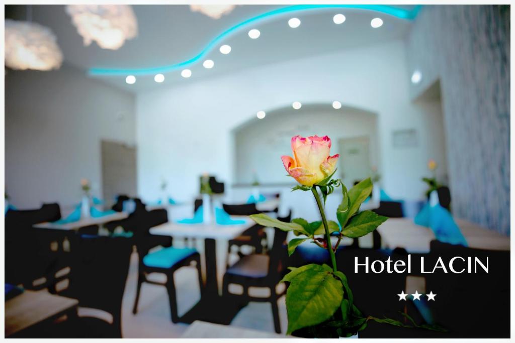 Fotografie z fotogalerie ubytování Hotel LACIN v Norimberku