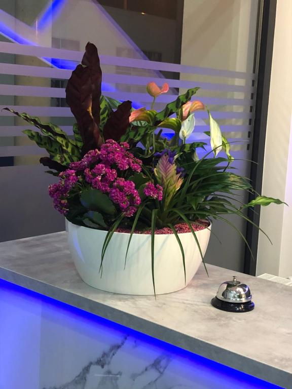 Hotel LACIN - Resim 36