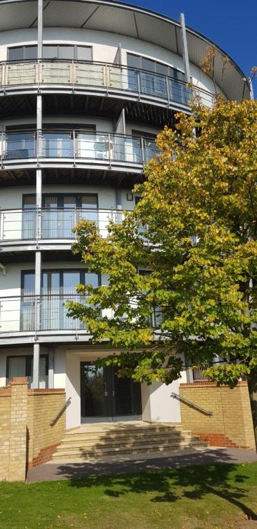 an apartment building with a tree in front of it at Garland Modern Apartment, Greenhithe 1 With Parking in Dartford