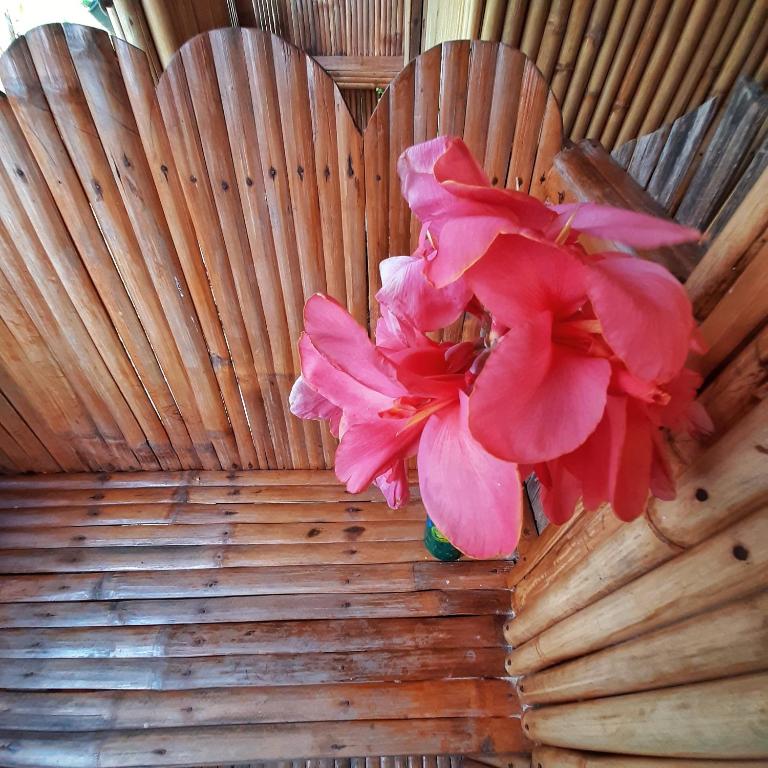 Fotografie z fotogalerie ubytování Banana Grove El Nido v destinaci El Nido