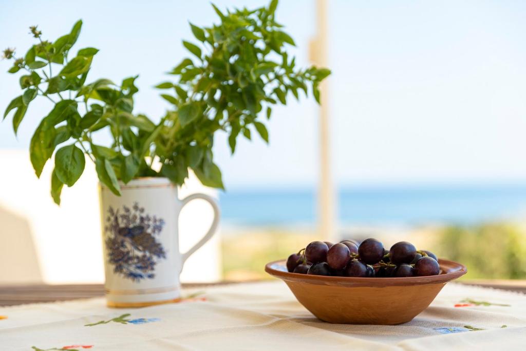 eine Schale Obst auf einem Tisch neben einer Topfpflanze in der Unterkunft House Almyra in Lachania