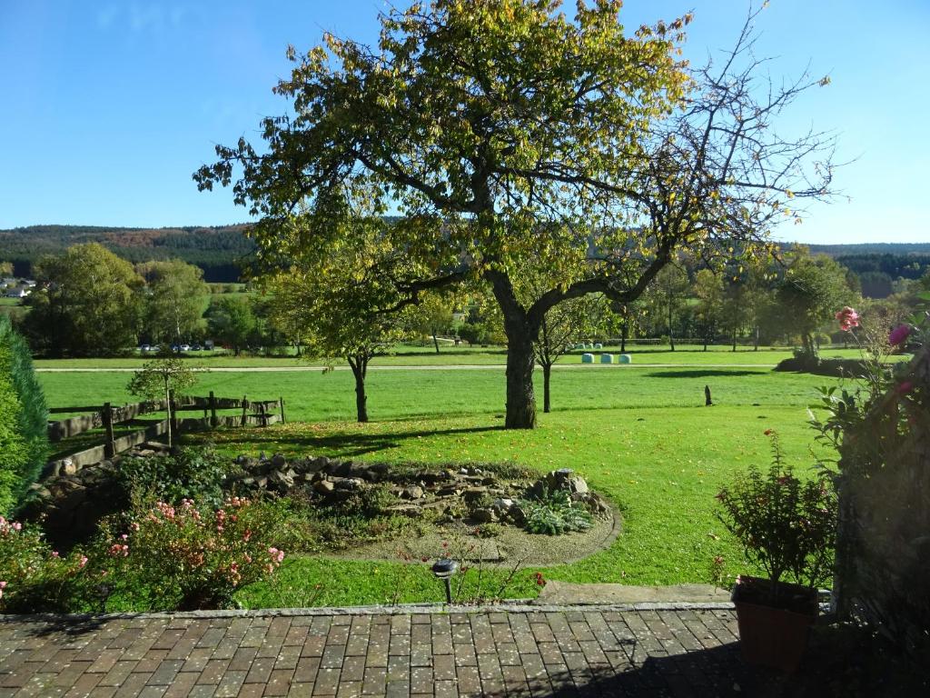 a park with a tree in the middle of a field at Gäste Domizil Edel Zeit in Allenbach