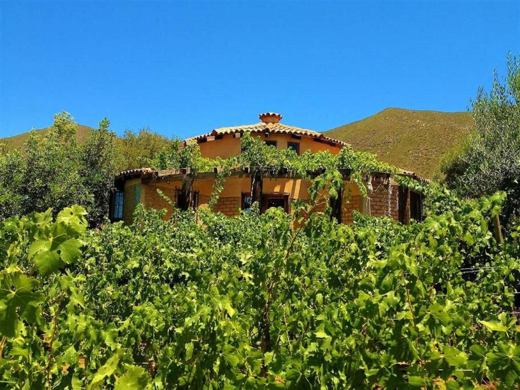 Casa Nativo - The Heart of the Vineyard
