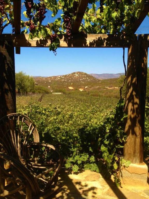 Casa Nativo - The Heart of the Vineyard