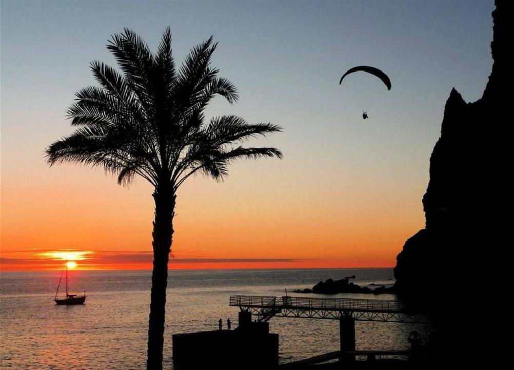 a palm tree and a kite flying over the ocean at sunset at Apartamento Vai Vem in Madalena do Mar