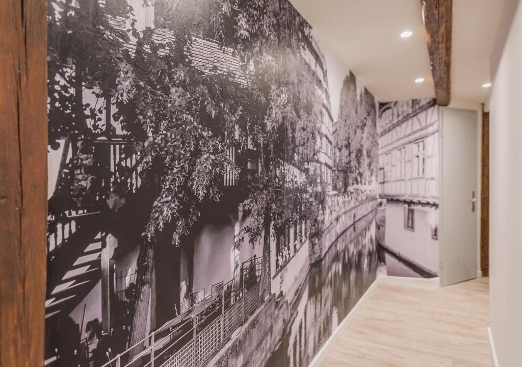 Fotografie z fotogalerie ubytování Le Carré d'or - Appartement avec vue Cathédrale ve Štrasburku