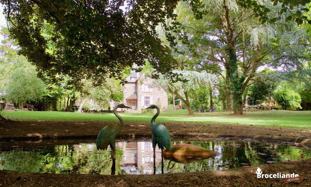 two birds standing in a pond in front of a house at La Maison Rouge Brocéliande in Montauban-de-Bretagne