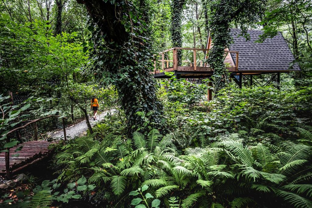 Zahrada ubytování Duende Hotel