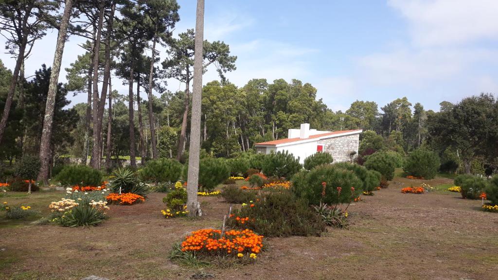 un jardín con flores y plantas frente a un edificio en Casa do Sol, en Moledo