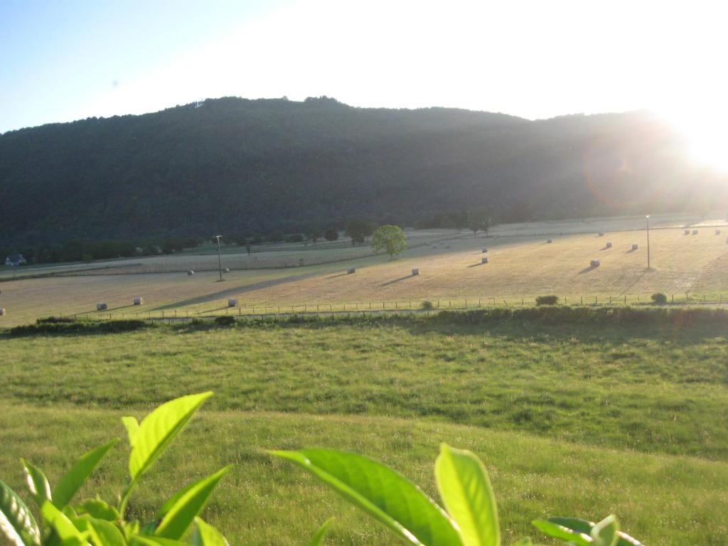 a large field with people in the distance at Chambres d'hôtes de charme Le Pradel in Monceaux-sur-Dordogne