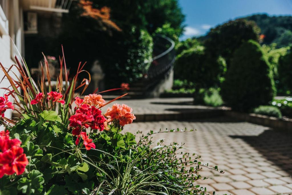 Zahrada ubytování Apartmaji Urška