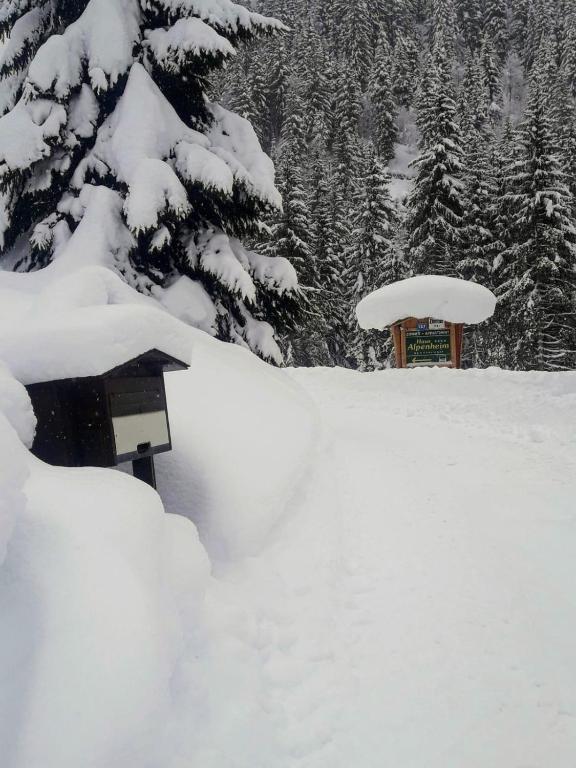 Haus Alpenheim v zimě