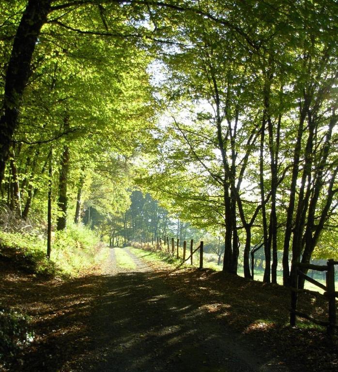 a tree lined dirt road with a fence and trees at Chambres d'hôtes de charme Le Pradel in Monceaux-sur-Dordogne