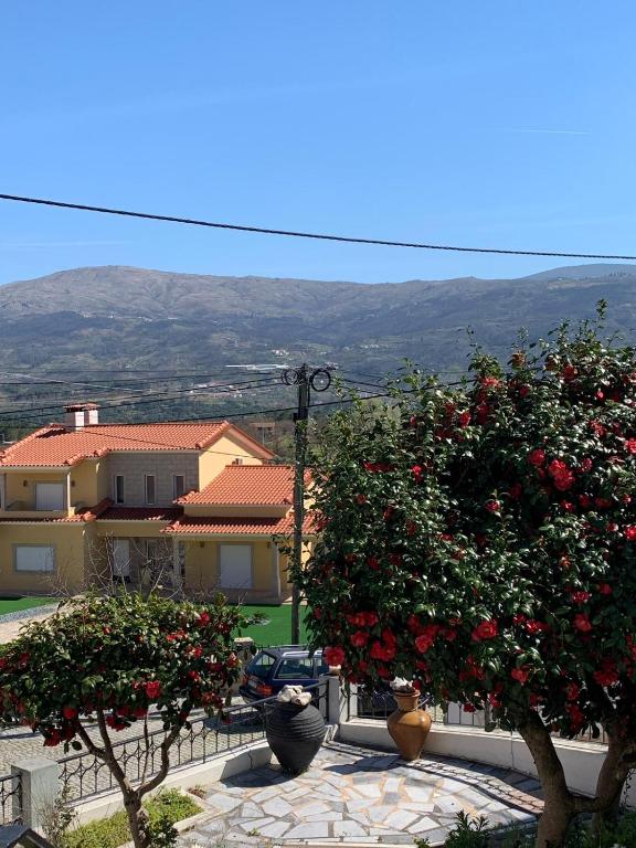 Una casa con dos árboles con flores rojas. en Casa da Fonte en Seia