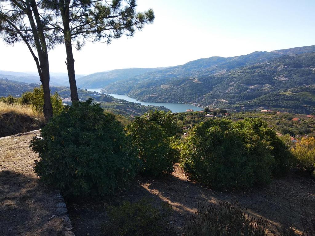 a view of a lake from a hill with trees at Paraíso Hills - Encostas do Paraíso: tranquilidade no Douro in Resende
