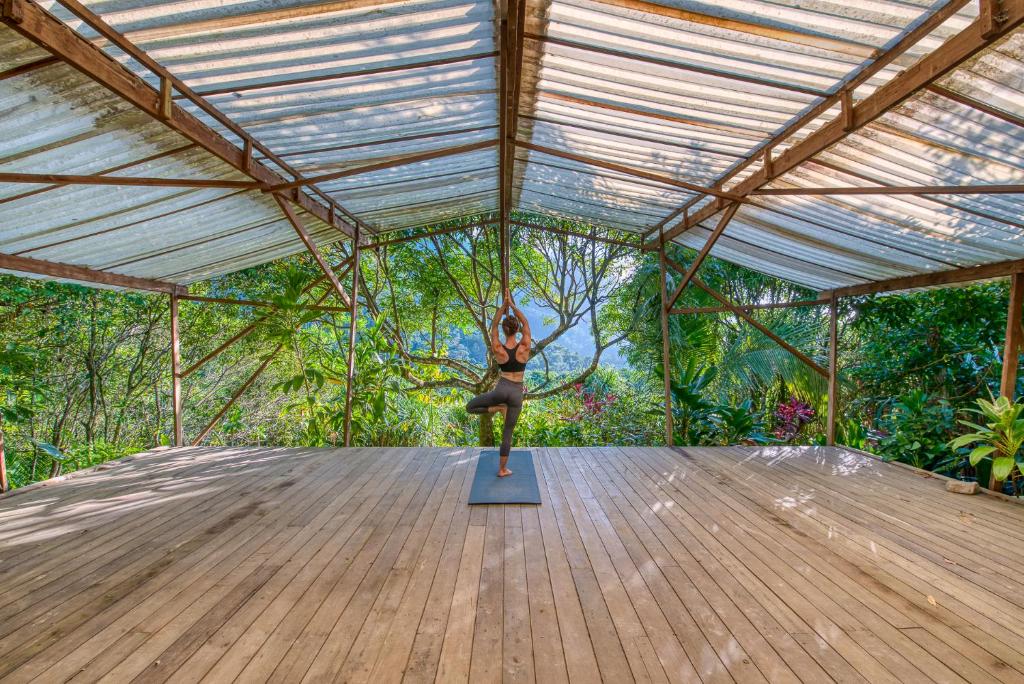 Zahrada ubytování Omega Tours Eco-Jungle Lodge