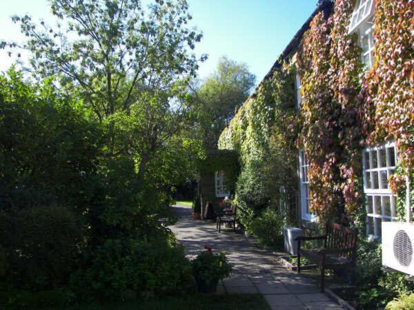 a house with ivy growing on the side of it at The Treebridge Hotel in Nunthorpe