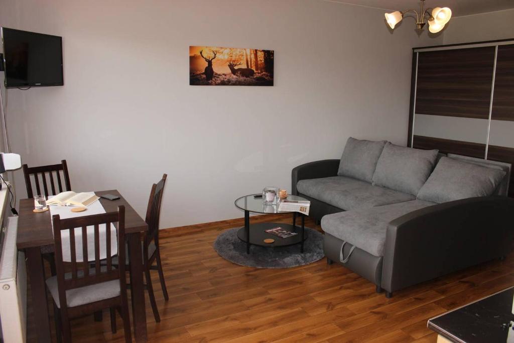 a living room with a couch and a table at Mieszkanie na uboczu Dobrzeń Wielki in Dobrzeń Wielki