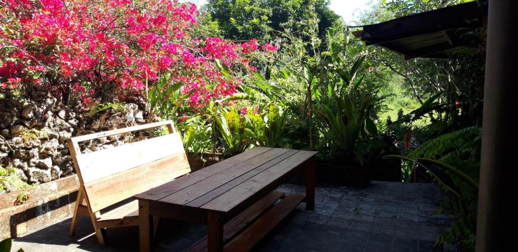 PIAS POPPIES HOTEL - 15