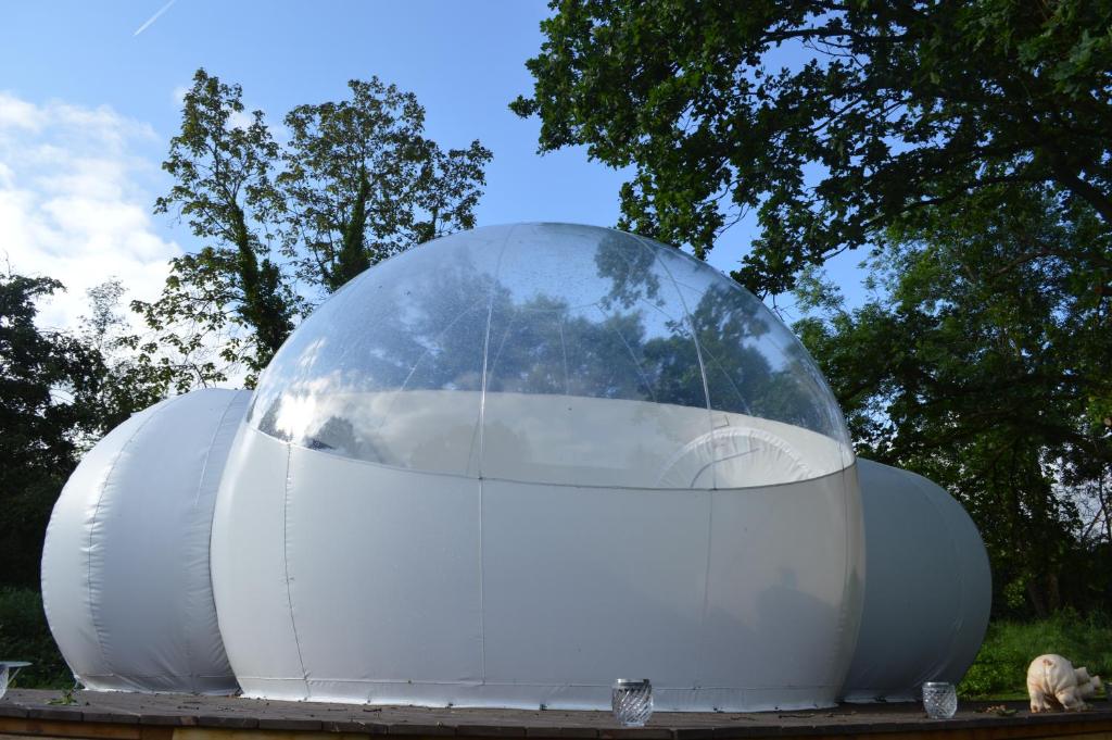 Fotografie z fotogalerie ubytování Sleep in a bubble v destinaci Wanze