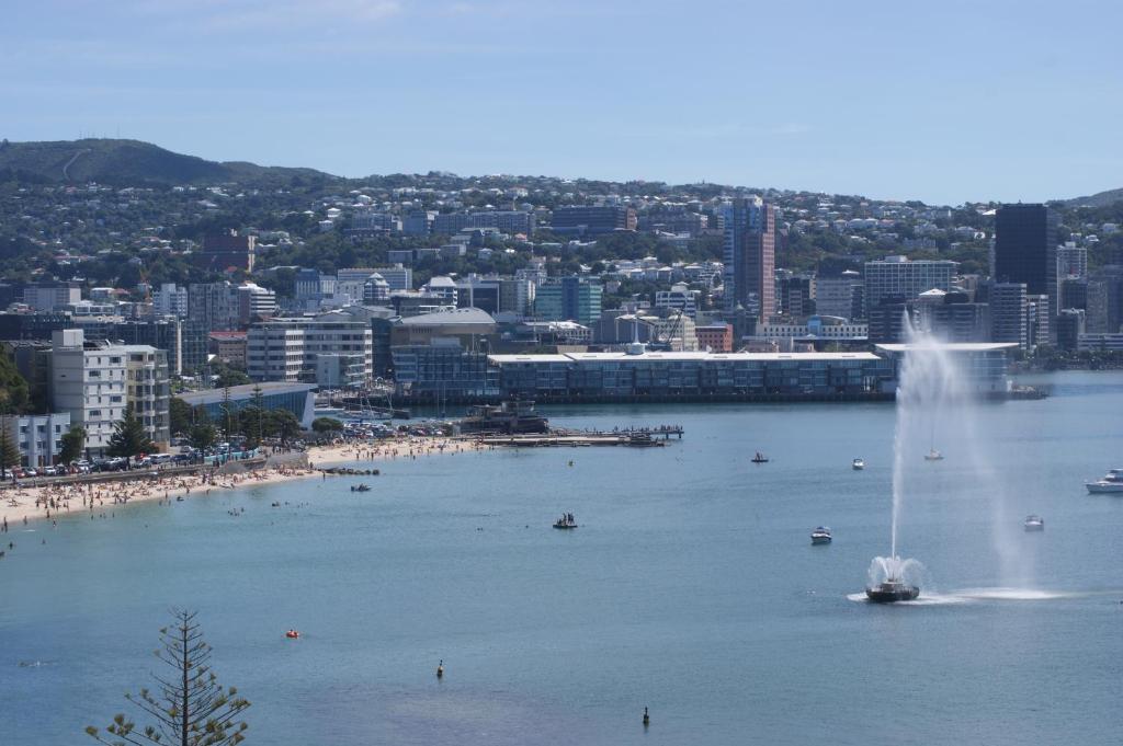 Oriental Bay At Its Best - 