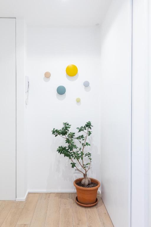 Zdjęcie z galerii obiektu Mini appartamento Colosseo w Rzymie