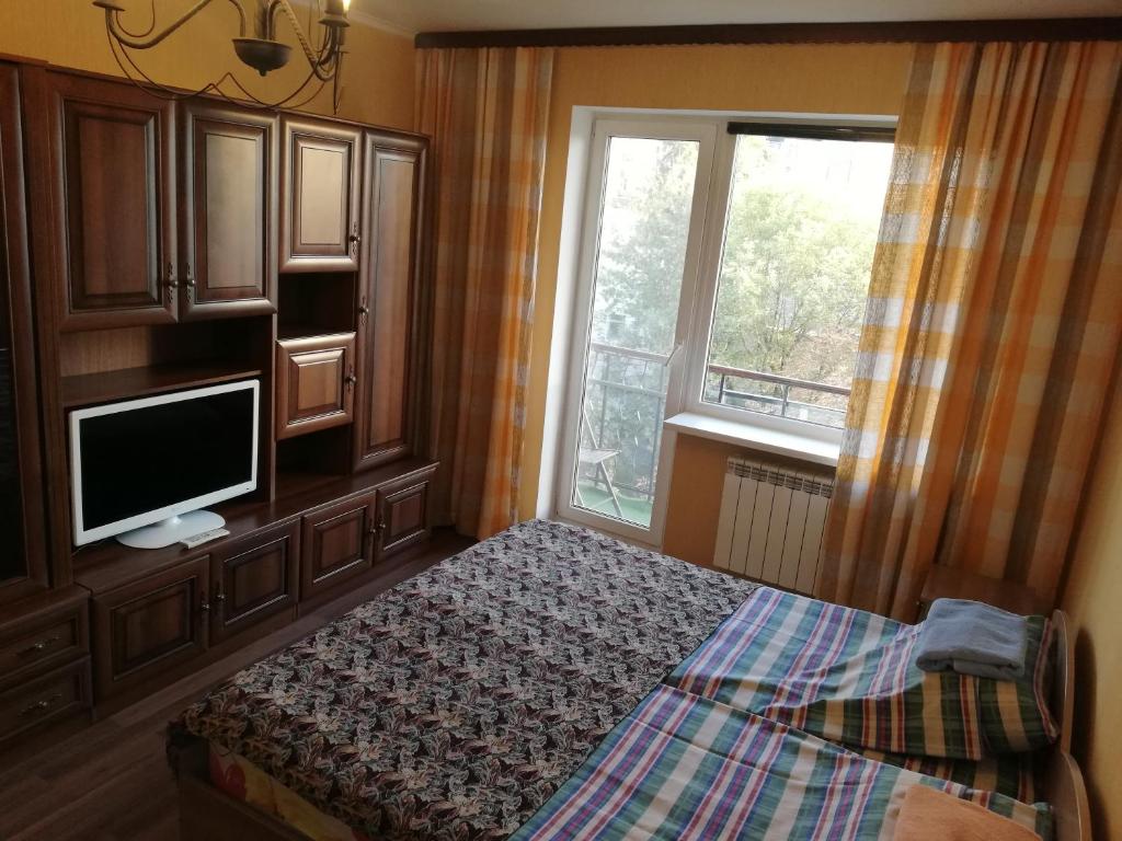 キーウにあるKyiv Relax Flatのベッドルーム(ベッド1台、テレビ、窓付)