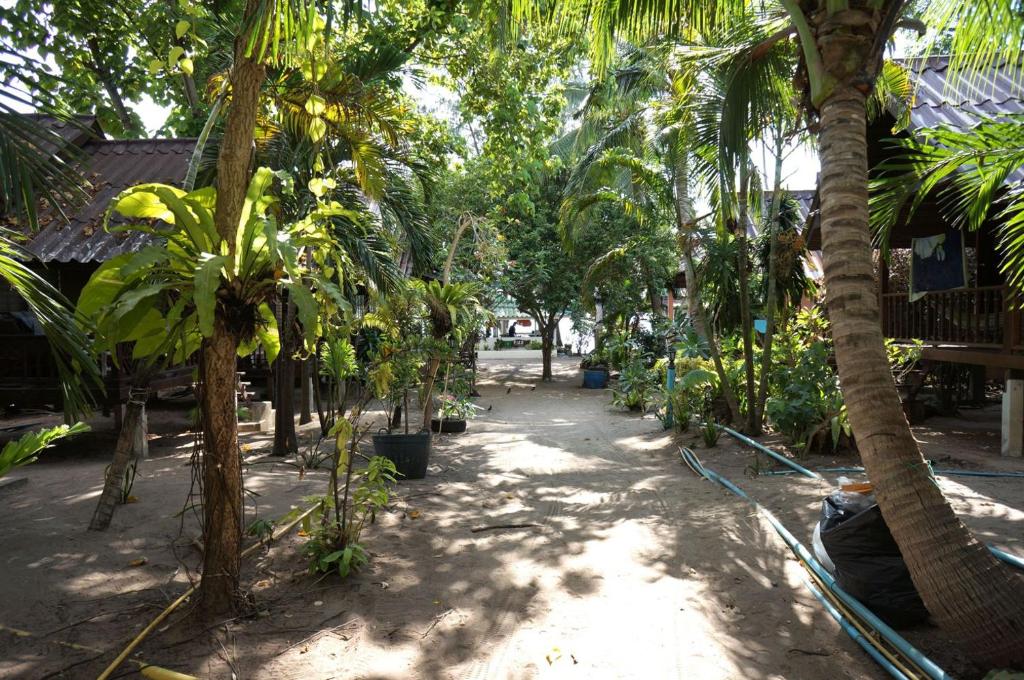Zahrada ubytování Silver Sands Resort - Koh Tao