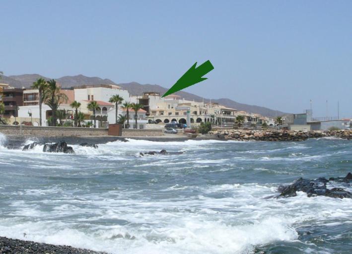 een vogel die over een waterlichaam vliegt bij Villaricos Puerto de la Esperanza in Villaricos