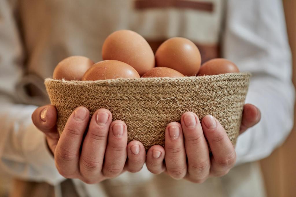 Ca n'Alexandre - Adults Only - Resim 17