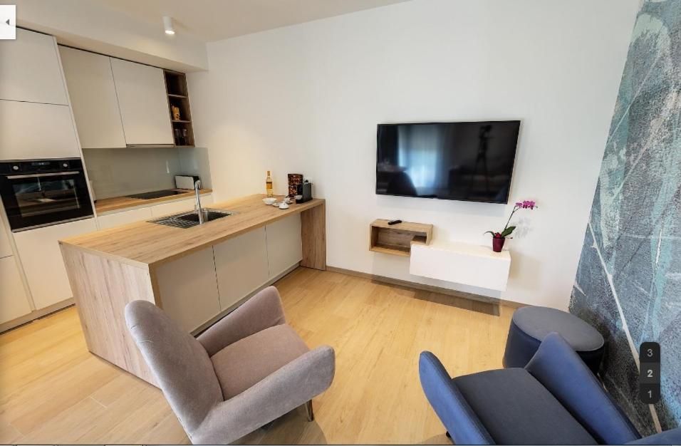 Kuchyň nebo kuchyňský kout v ubytování Regentova Suites Ljubljana
