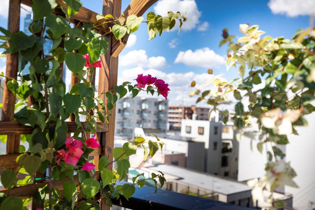 Zahrada ubytování SOLA HOTEL