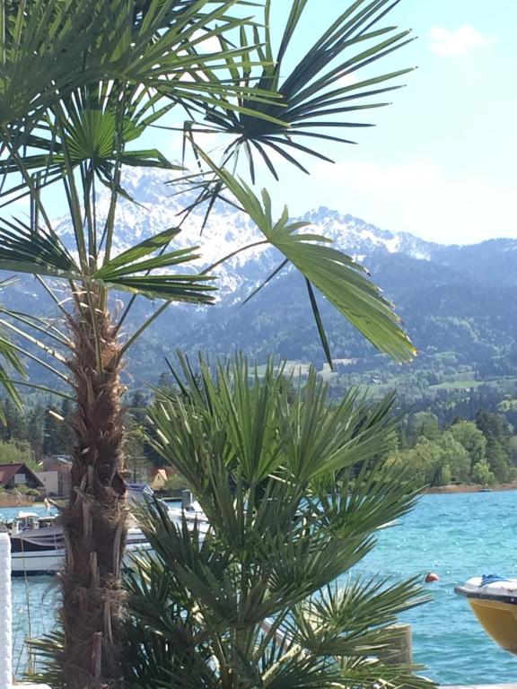 Familien- und Basecamp FaakerSee