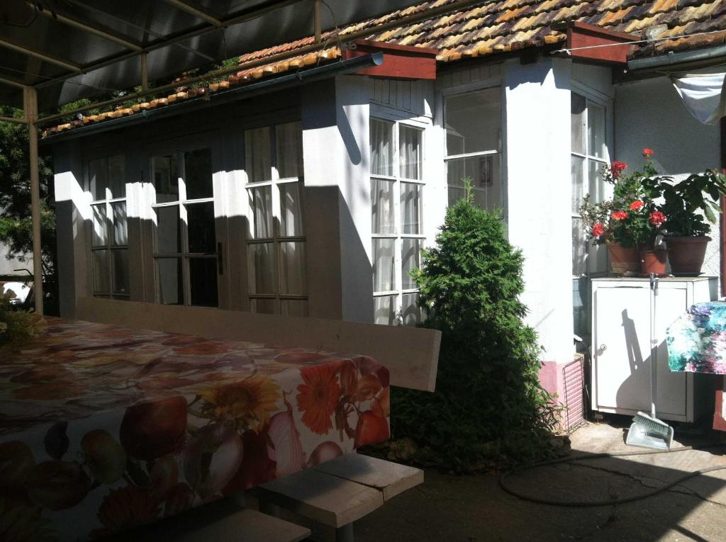 Зображення з фотогалереї помешкання House with flowers у Затоці