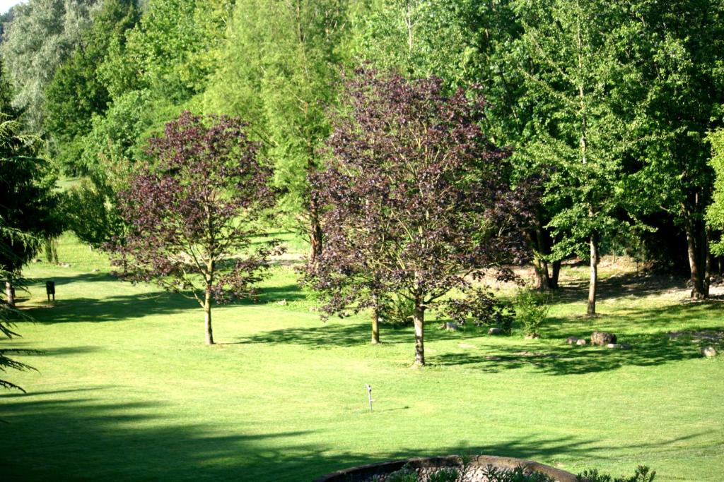 Zahrada ubytování Resort La Mola